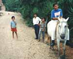Kid on horse, Nicaraqua